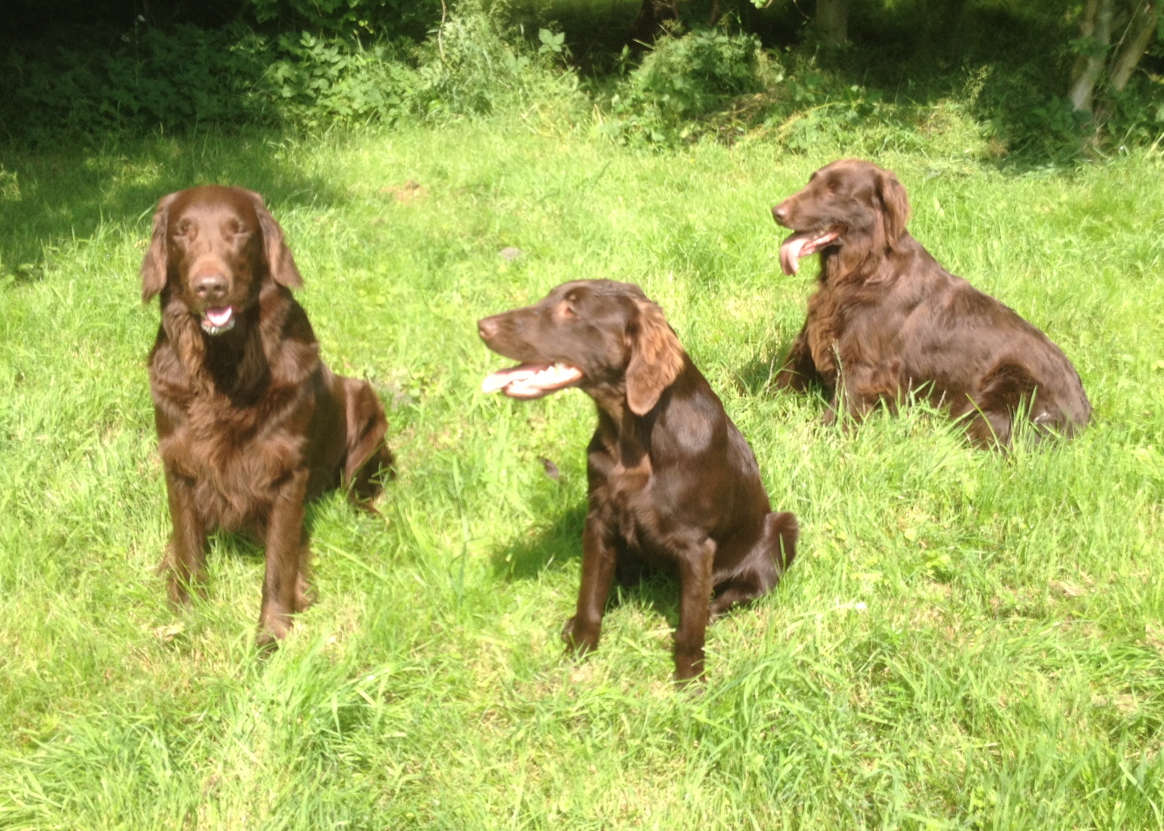 011a2a8c17d4a74a509acfdbaf14bd786d63ac81f5