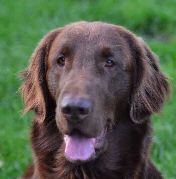 Dancer Oktober 2012 Portrt 2