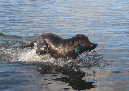 Kieskuhle Tannenhausen Dez.2011