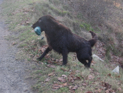 Kieskuhle Tannenhausen Dez.2010 138