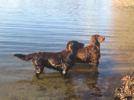 Kieskuhle Tannenhausen Dez.2010 084
