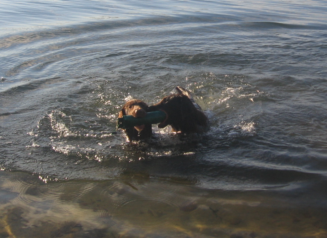 Kieskuhle Tannenhausen Dez.2010 086