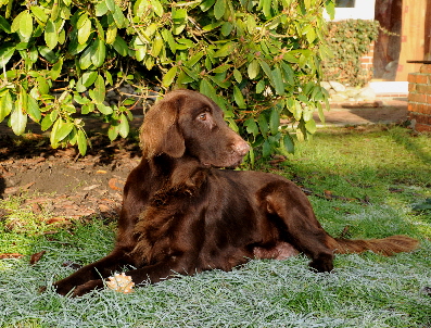 Oma Lucy im "Un-Ruhestand"