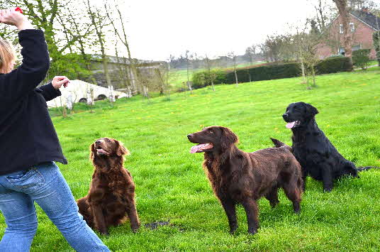 Aktion 2012 - los geht's