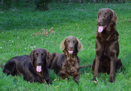 Dancer Funny Lucy  2012